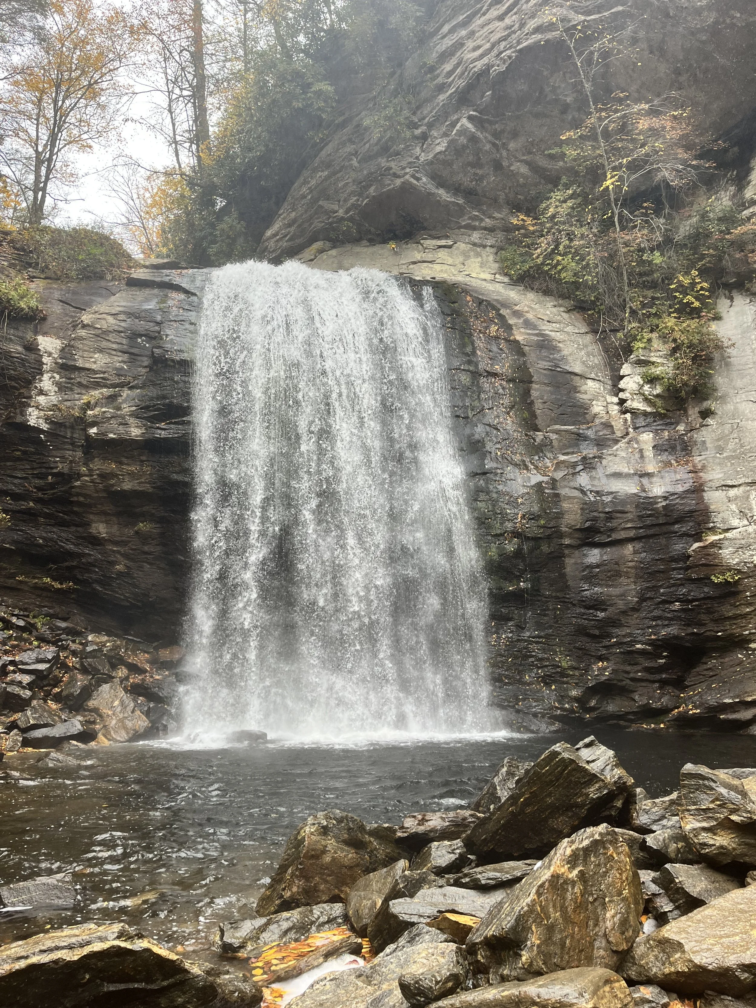 Camping and Hiking in Pisgah National Forest in Asheville, North